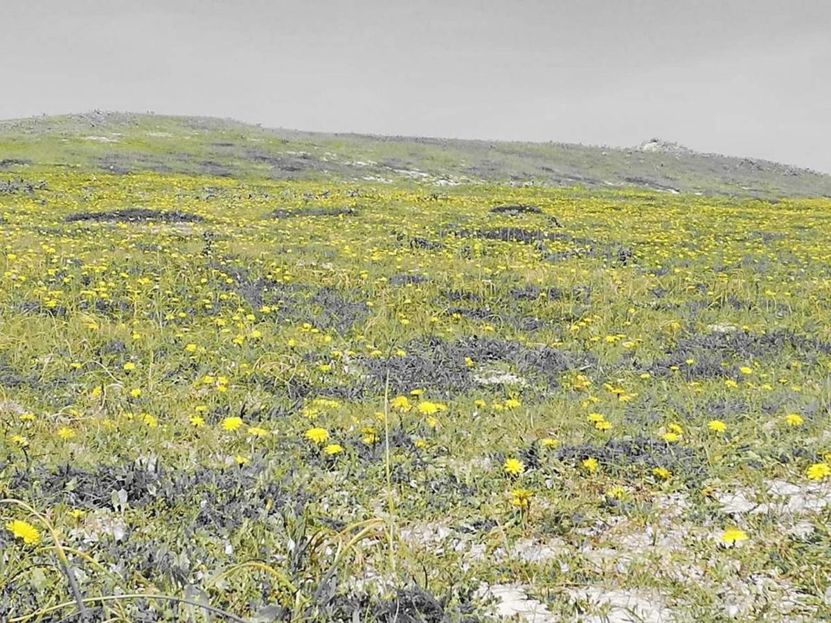 הוילה Saint-Jean-Trolimon Ty Biz מראה חיצוני תמונה